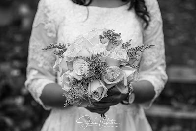 Sylvain Valentin Photographe