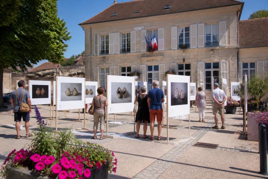 découvrez l'exposition photo « les deux font la paire » à la mairie de villemeux-sur-eure, en place jusqu'au 13. une célébration visuelle à ne pas manquer !
