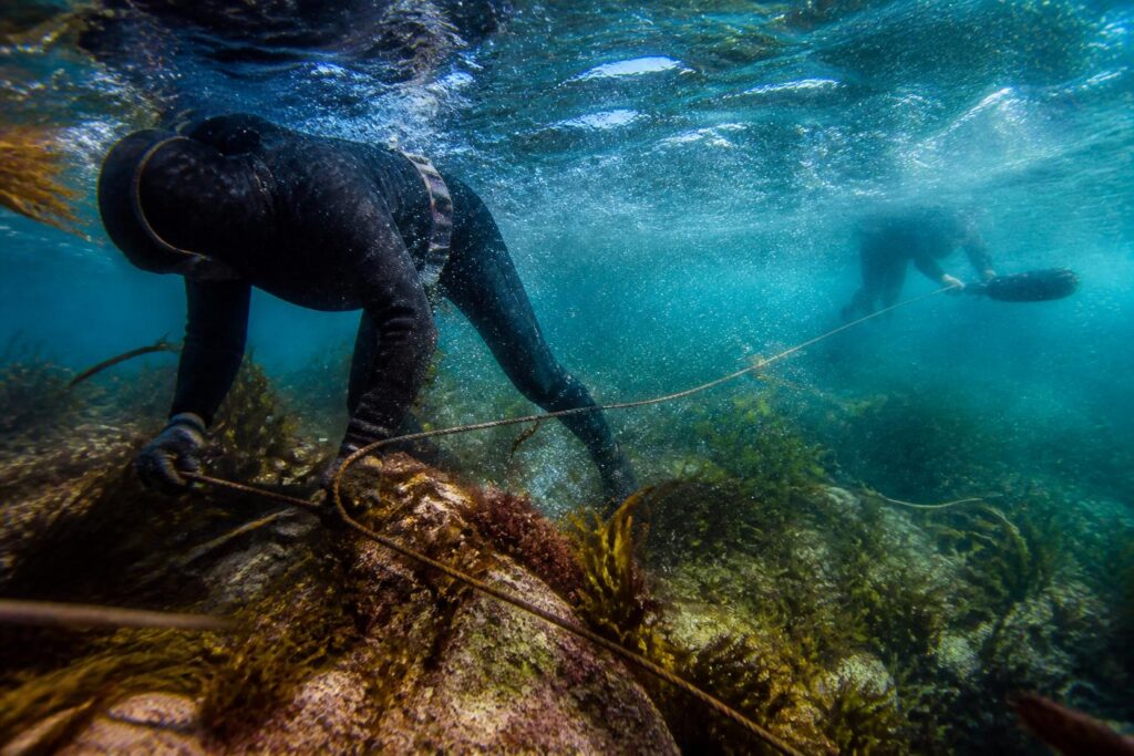 découvrez 'plongée au cœur du raz', une série captivante de gaëlle de trescadec qui immortalise la vie authentique des ligneurs dans leur élément, au plus près des vagues et de la nature sauvage.