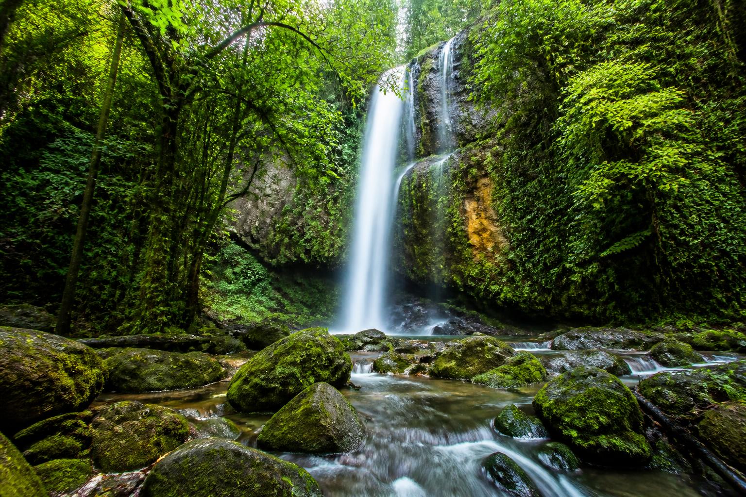 découvrez une exposition photographique immersive à la chevrollière qui vous plonge au cœur de la vie sauvage, révélant la beauté et la richesse de la nature.