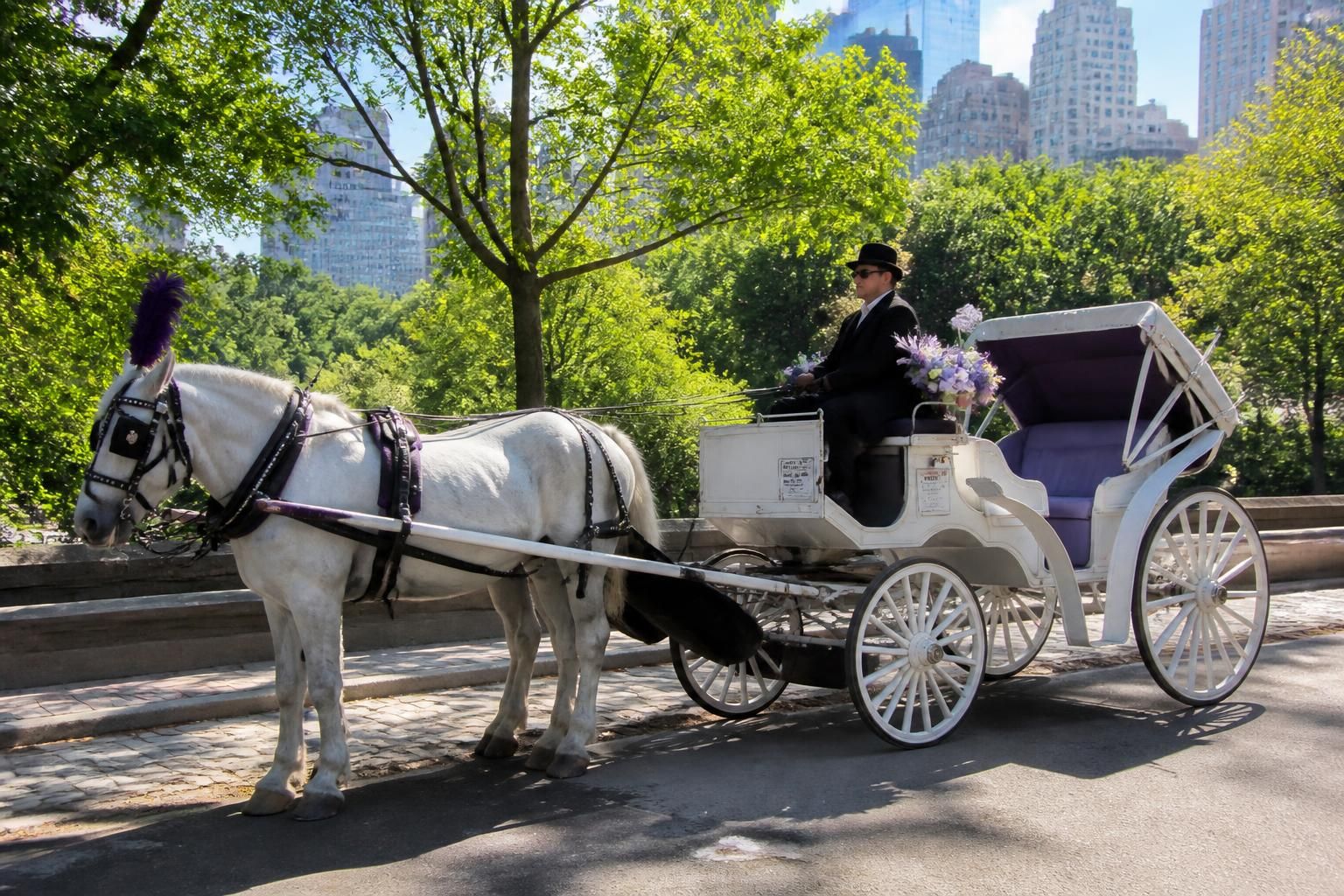 découvrez l'étrange disparition d'un passager de 18 ans lors d'une pause photo d'un cocher à central park, une histoire mystérieuse qui intrigue tous les témoins.