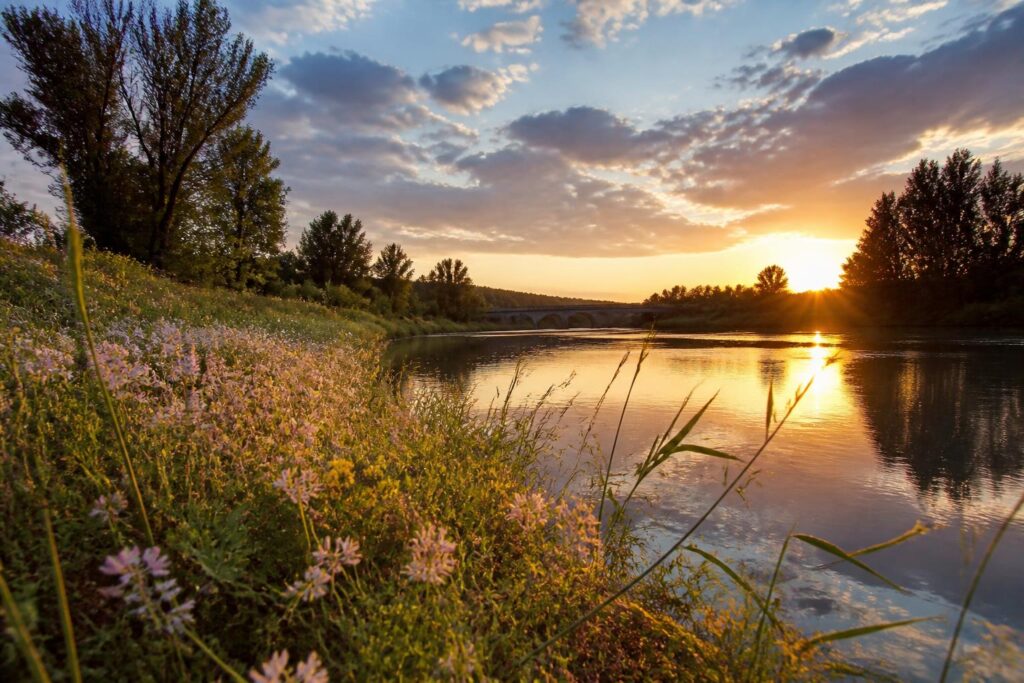 découvrez à rabastens un mariage enchanteur entre photographie et poésie qui sublime la beauté naturelle environnante, une invitation à l'émerveillement et à l'inspiration.