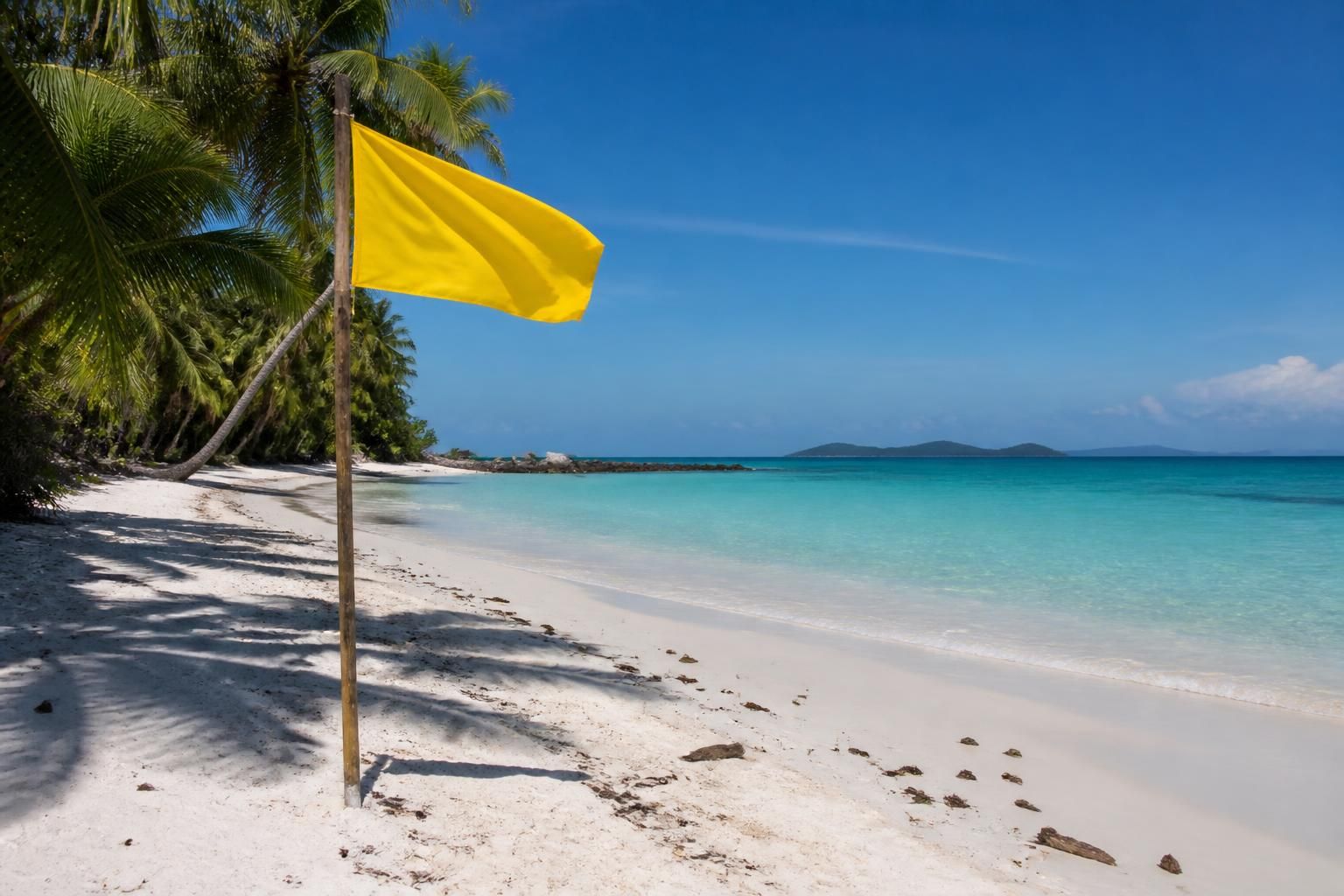 « Île Brésil » de Vincent Catala : un drapeau jaune révélé à l'envers 1 découvrez « île brésil » de vincent catala, une œuvre intrigante où un drapeau jaune se dévoile à l'envers, mêlant symbolisme et réflexion artistique.