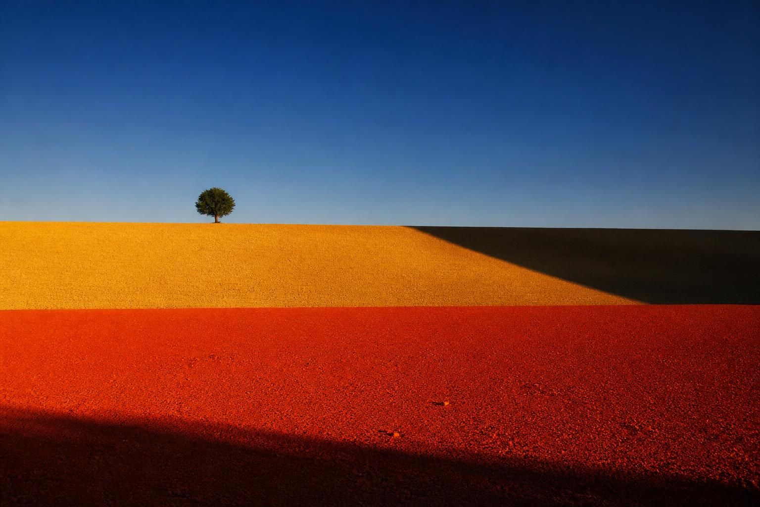 décès de franco fontana à 92 ans, célèbre photographe italien reconnu pour ses œuvres emblématiques en photographie couleur. hommage à une légende qui a marqué l'art visuel.