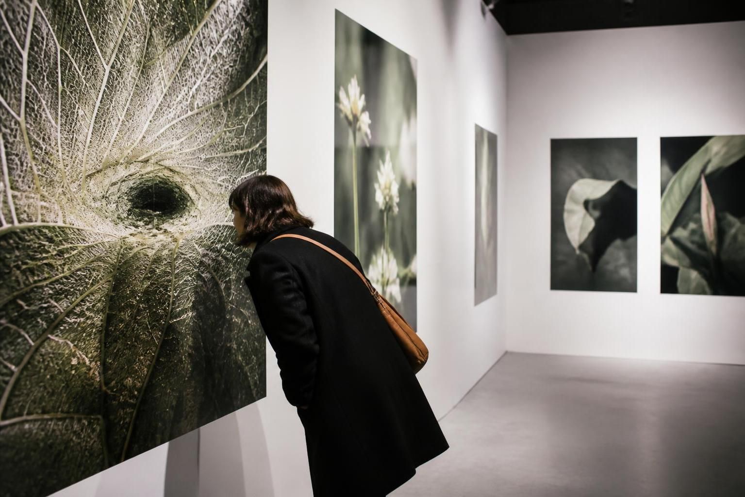 Quand la botanique rencontre lâillusion : une artiste dĂ©voile une exposition photographique captivante 7 dĂ©couvrez une exposition photographique unique oĂč la botanique s'entrelace avec l'illusion, rĂ©vĂ©lant le talent d'une artiste passionnĂ©e qui transforme la nature en Ćuvre d'art captivante.