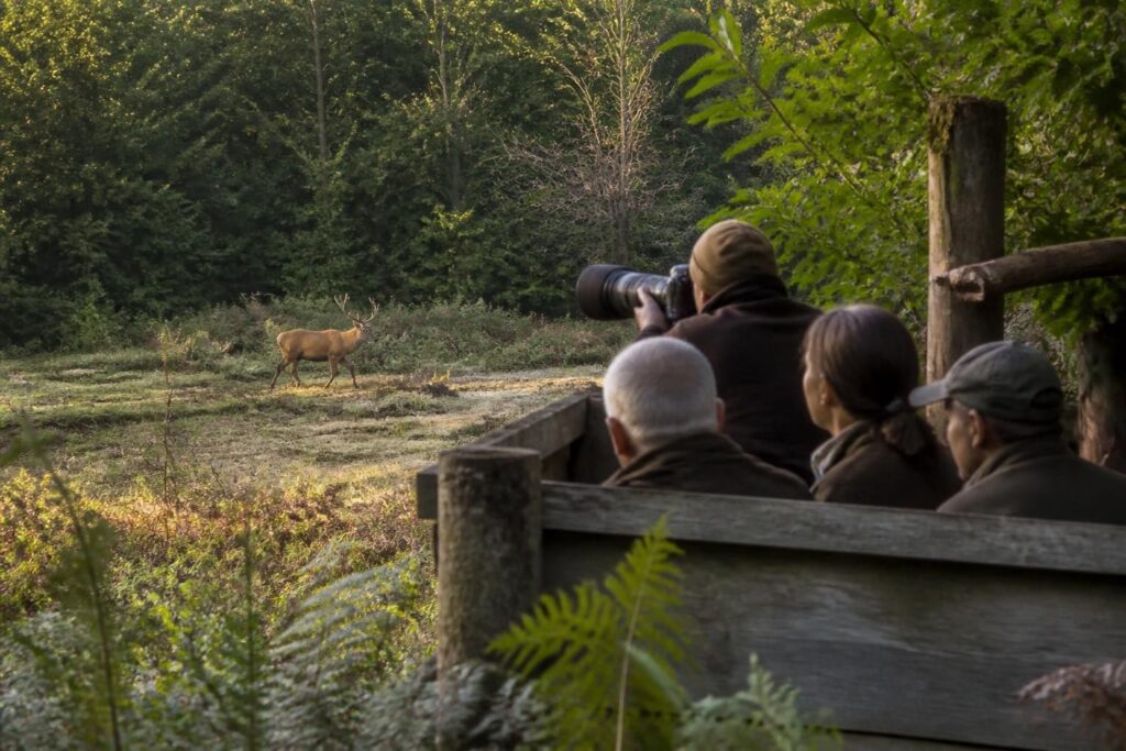 découvrez comment maîtriser l'art de l’affût pour capturer la nature en pleine action lors de notre conférence exclusive à saint-julien.
