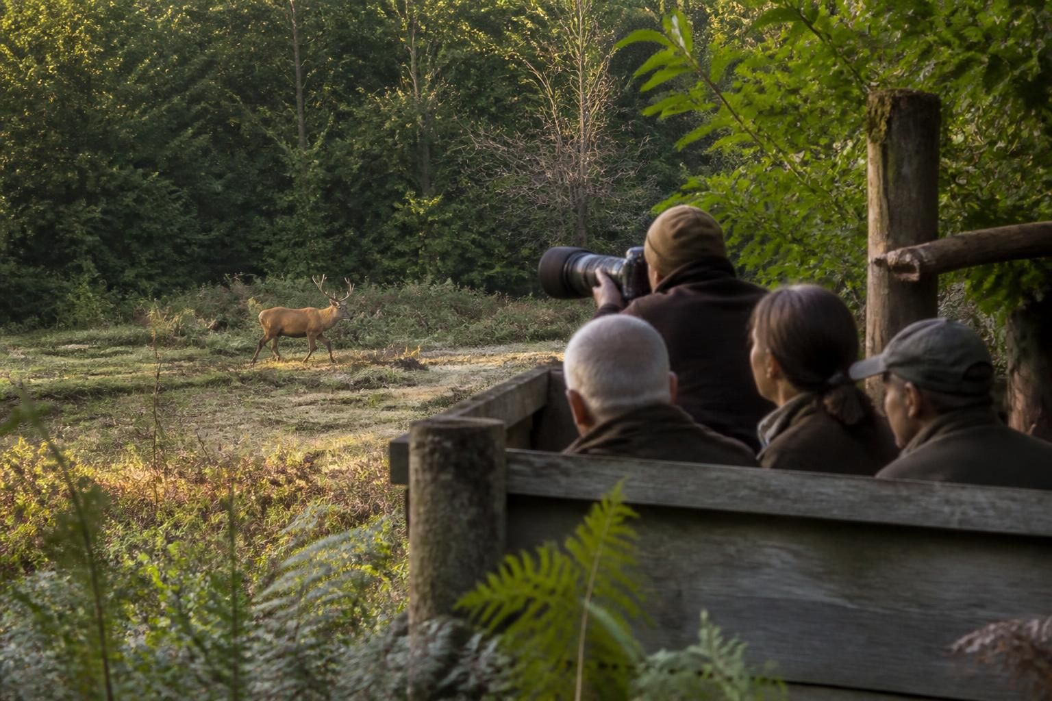 découvrez comment maîtriser l'art de l’affût pour capturer la nature en pleine action lors de notre conférence exclusive à saint-julien.