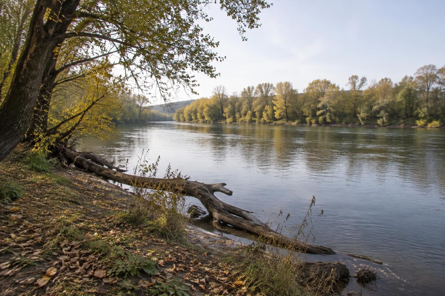 À Verdun-sur-Garonne, la Garonne dévoile ses richesses 7 à verdun-sur-garonne, explorez les richesses de la garonne et découvrez un patrimoine naturel au fil de l’eau.